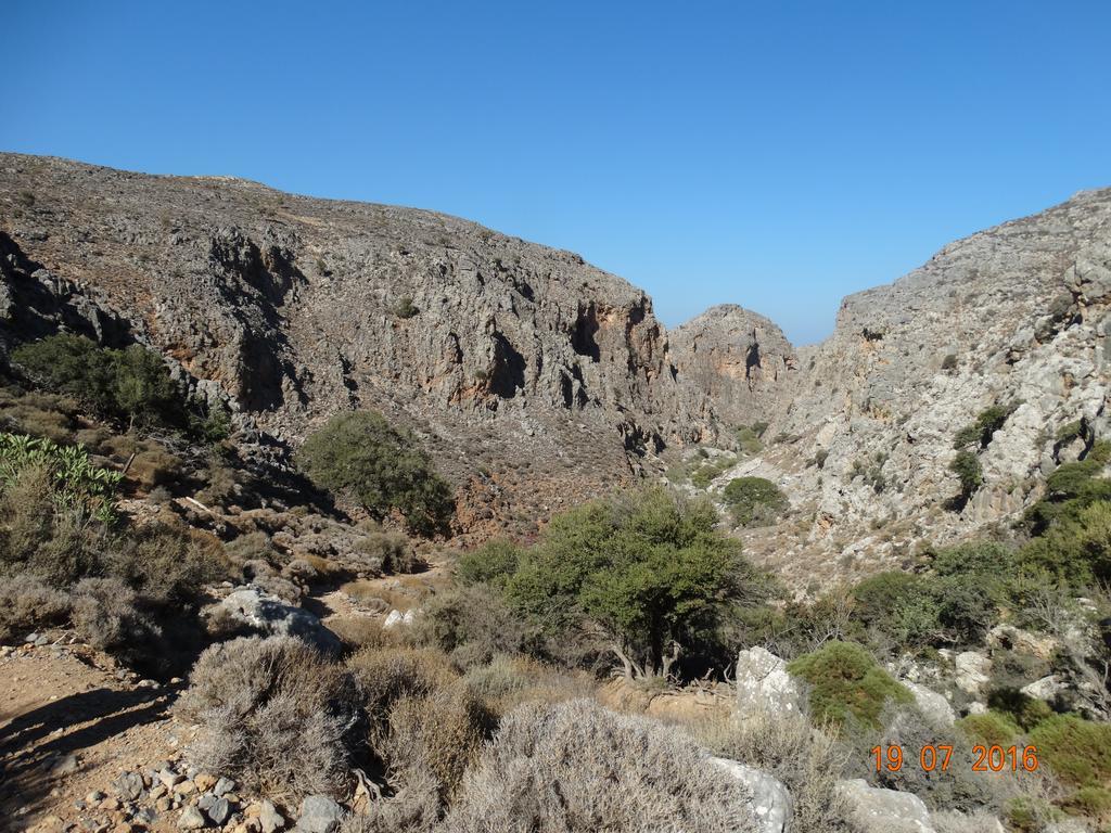 Villa Kalliopi Ιncreteble Cretan Resindences Collection Xerokampos  Bagian luar foto